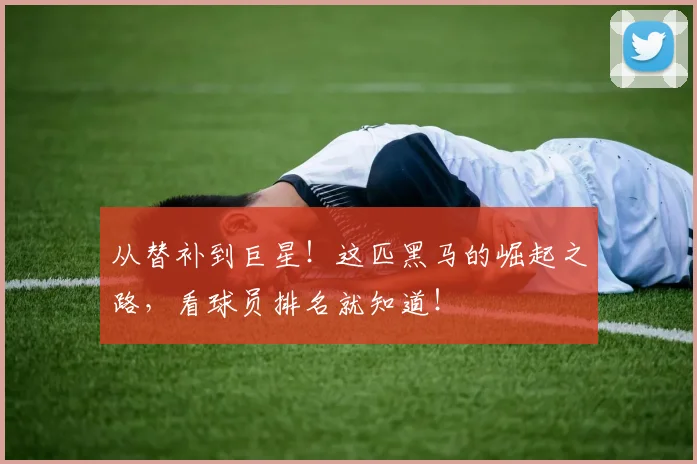 从替补到巨星!这匹黑马的崛起之路,看球员排名就知道!
