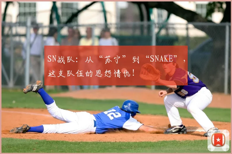 SN战队：从“苏宁”到“SNAKE”，这支队伍的恩怨情仇！